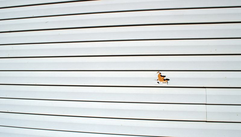 Ongoing Maintenance Advice