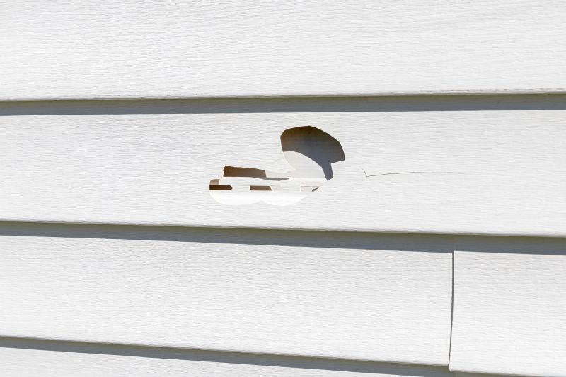 Vinyl Siding Repair Process